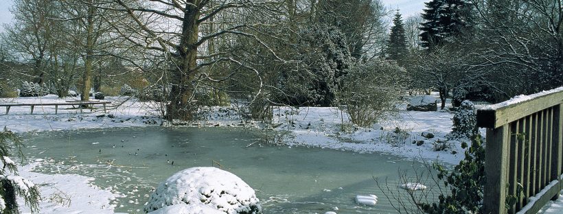 Winter & Your Water Features