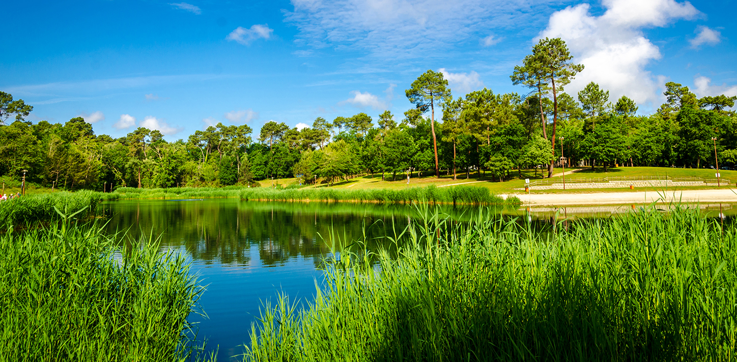 Improving Outcomes for Your Lake Management Clients and Your Business