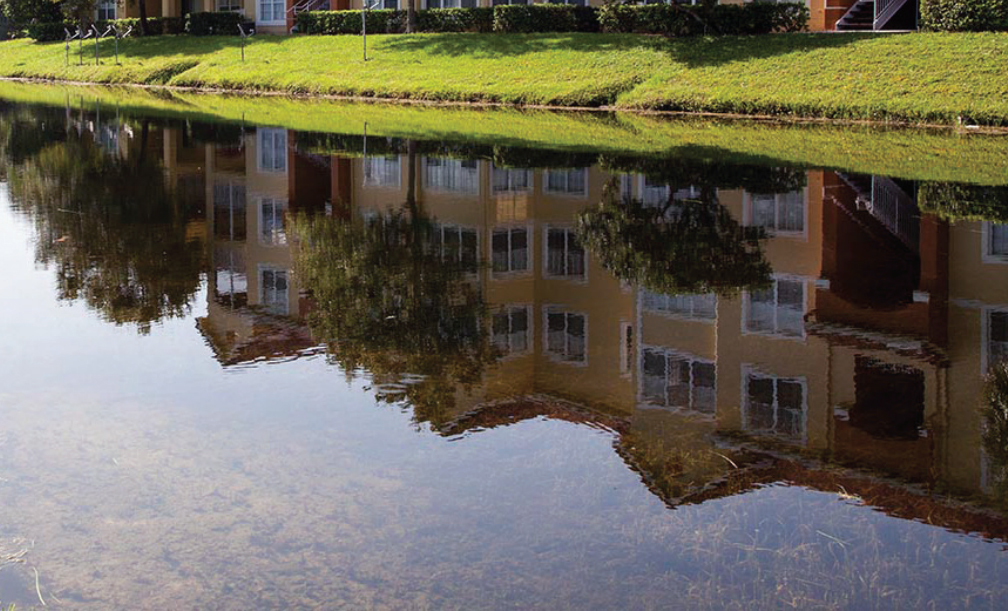Beneficial Bacteria Technologies for Improved Lake and Pond Health