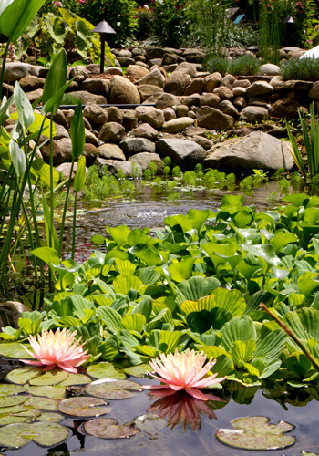 Garden Ponds