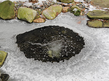 Shallow aeration keeps ice from forming all winter long