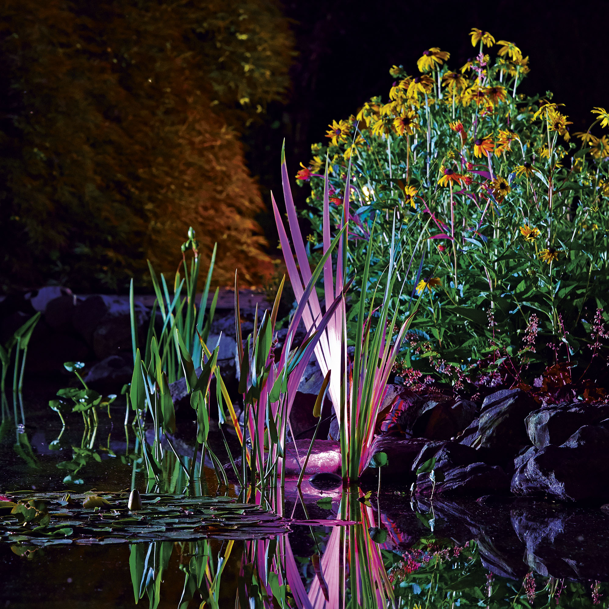 RGB LED Water Garden Set | Gardens 3 ProfiLux Atlantic