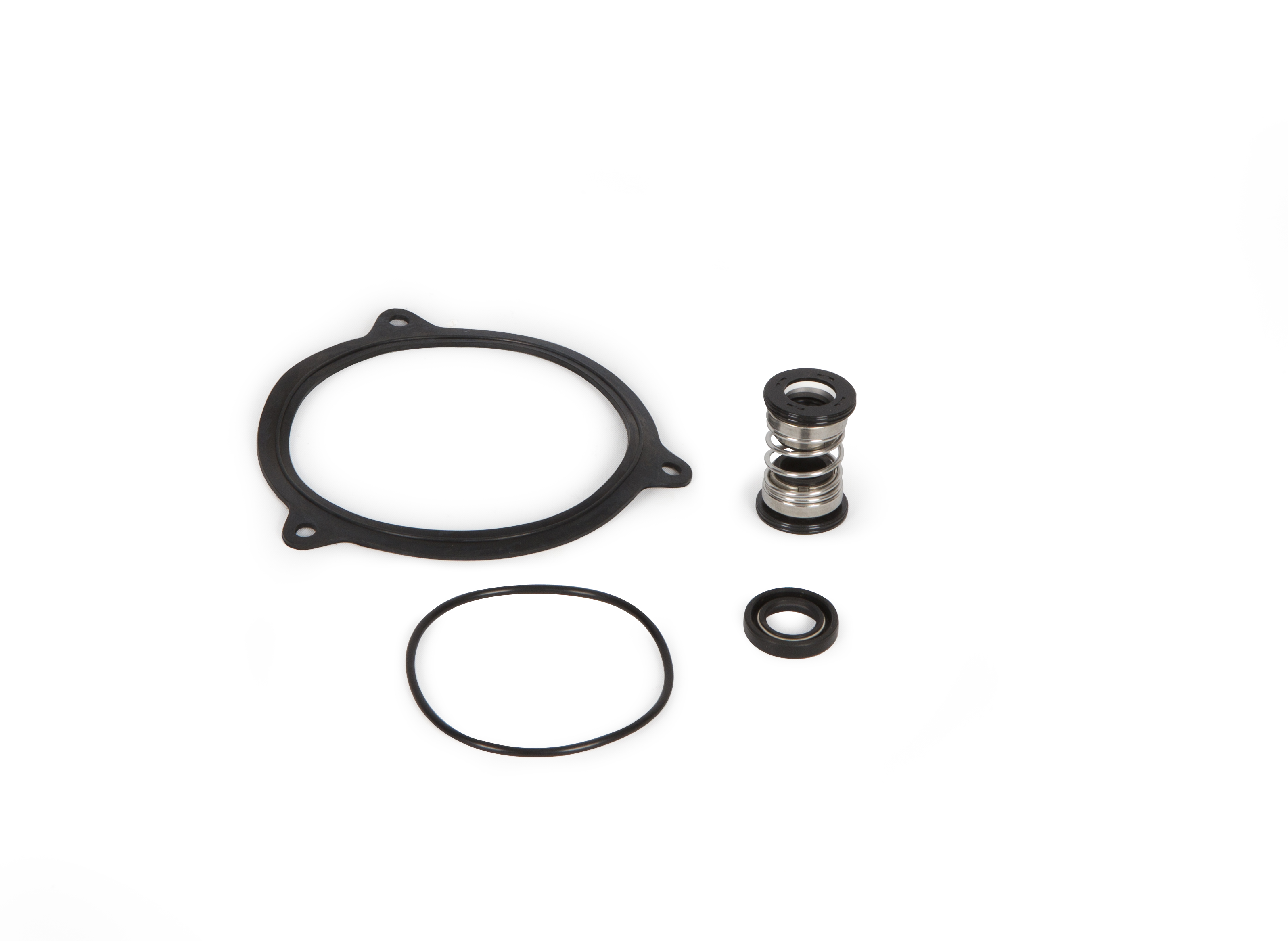 Atlantic Oil Seal Rebuild Kit