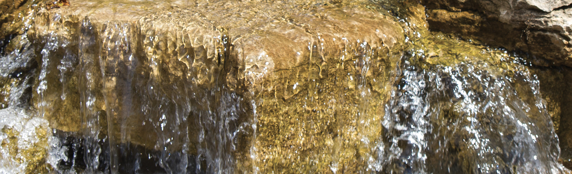 Pond-Free